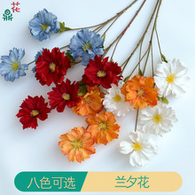 4^mϦ ¿ܽػ c쾰Ļˇٻ Yb