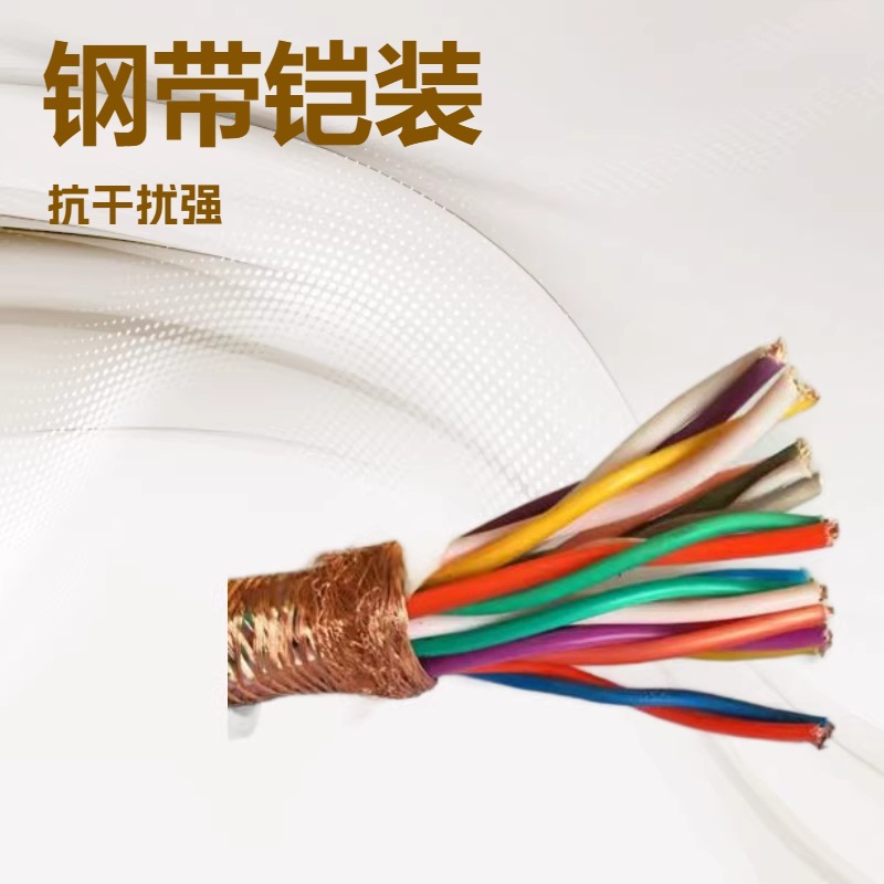 DJYVP22  DJYPVP22   国标钢带铠装计算机电缆