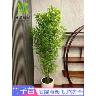 ������ͥԺֲ�ﱱ���ͺ��������_�h�����[�������L���ļ���������