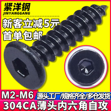 304不锈钢黑色CA内六角大平头自攻螺丝十字自攻螺丝钉M2/M3/M4/M5