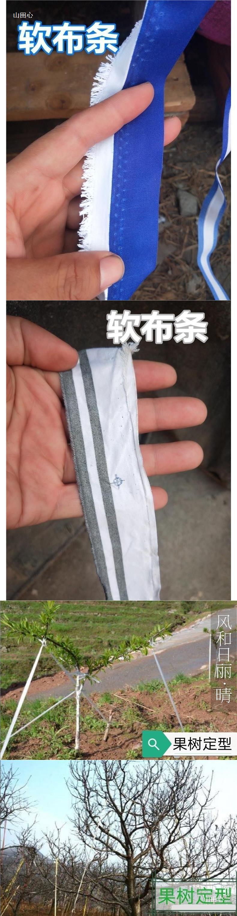 捆扎绳子园林果树拉枝捆土球蒜苔蔬菜吊秧布条带破布条长条绑树绳-阿里巴巴
