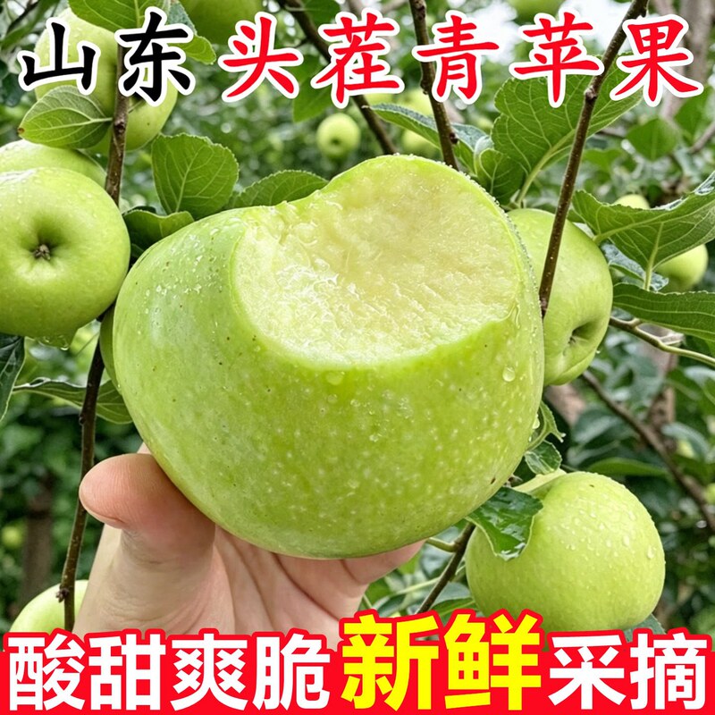Shandong Green Apples Fresh Fruit 5kg Seasonal Fruits for Pregnant Women Crisp Sweet Apples Whole Box Wholesale Shandong Green Apples Fresh Fruit 5kg Seasonal Fruits for Pregnant Women Crisp Sweet Apples Whole Box Wholesale
