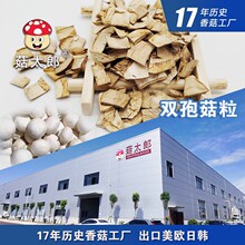 双孢菇干货口蘑粒食用菌白蘑菇粒双孢菇颗粒双孢菇丁基地备案