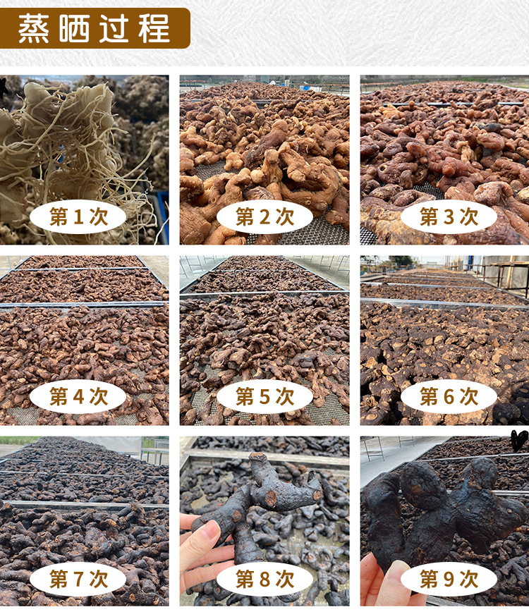Jiuhua Mountain Polygonatum Ready-to-Eat Huang Jing 九蒸九晒 Steamed Solomon's Seal Rhizome 250g quality and texture