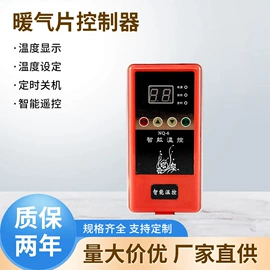 控制仪表;温湿度控制器;温度传感器