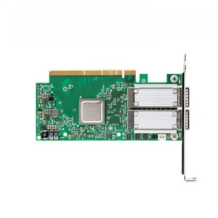 Mellanox Mcx516A-Ccat_C06100G Ethernet Dual-Port Network Card