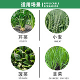 速射 10% имидаклоприд, инсектицид для шпината, лука-порея, сельдерея, пшеницы, тли, лука-порея и личинок 10 г