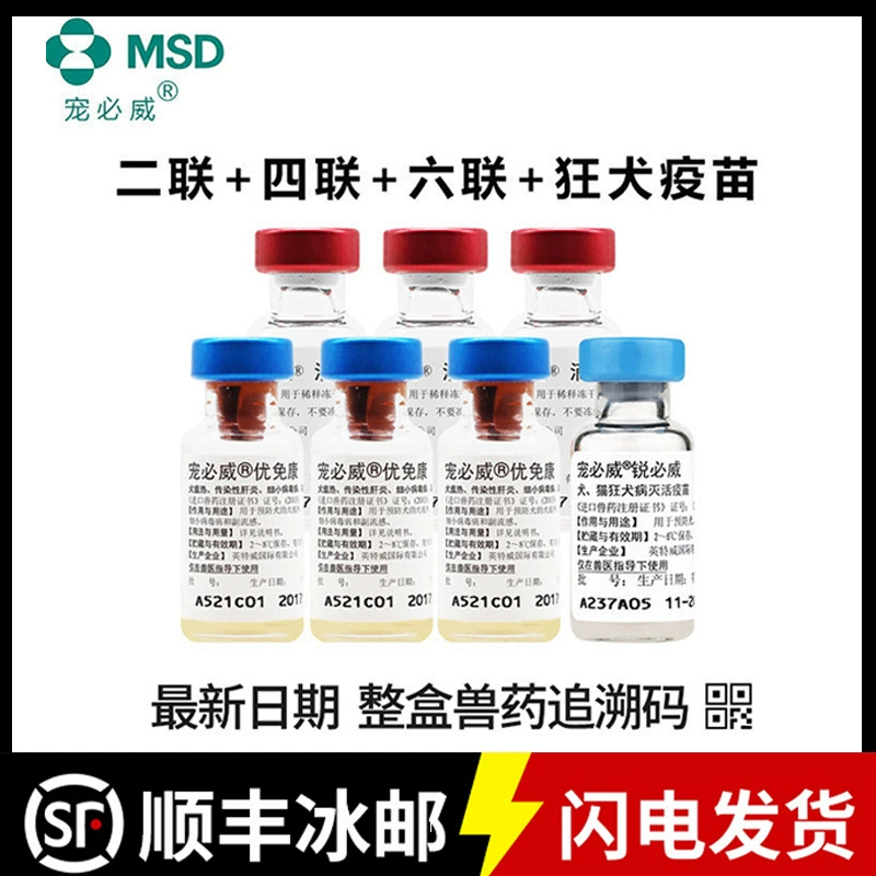 Вакцина для собак Infway Four Four Pet Pet Pizza Вакцинация для прививок