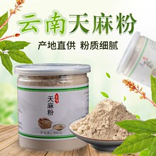 云南特产昭通 小草坝天麻 代磨天麻粉 250克罐装批发中药材代发