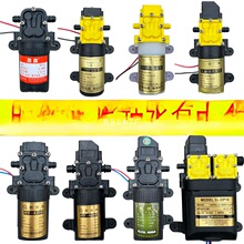 電動噴霧器高壓泵12v電機馬達配件大全通用打葯機大功率雙核水泵