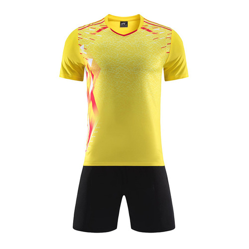 High-Speed Wholesale Competition Training Suit Set for Men and Women, Short-Sleeve Table Tennis, Tennis, Badminton Clothes Set, Summer