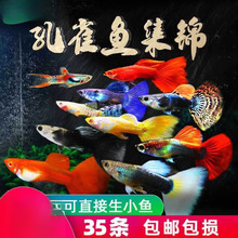 ��ȸ�Ꭷ�^�p�~�絭ˮ��ˮС��С�~���B�ͻ����B���~�Pβ���R���~