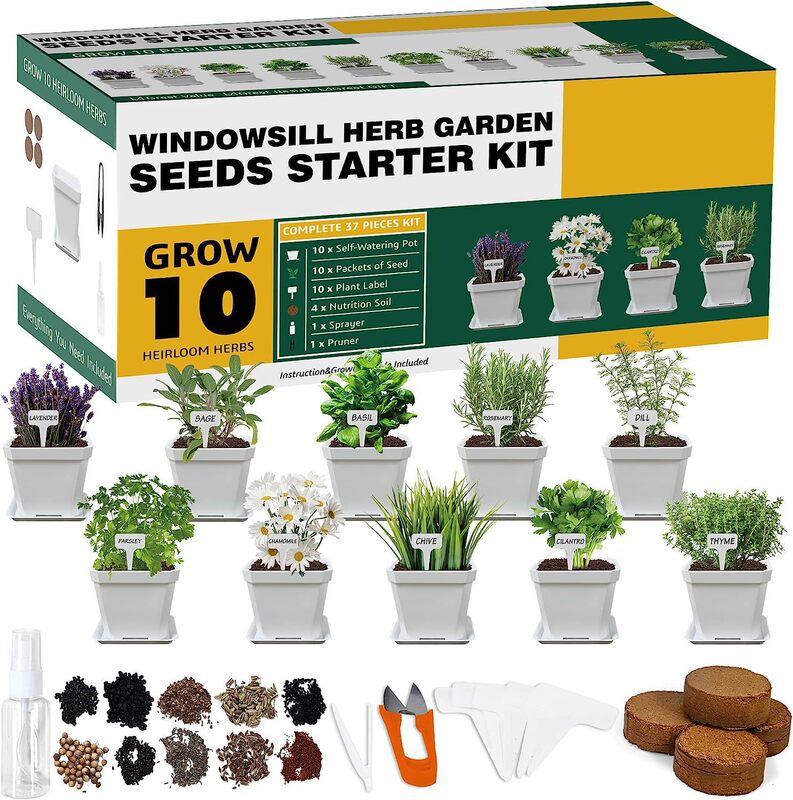 Amazon Children's Adult DIY Observation Planting Science Plant Potted Indoor Balcony Garden Combination Kit Package