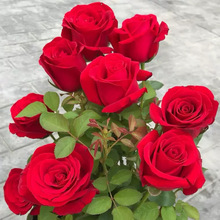 õ�廨�N���ļ��_���׻�N�����҃���������ͥԺ�Gֲ���r���N��
