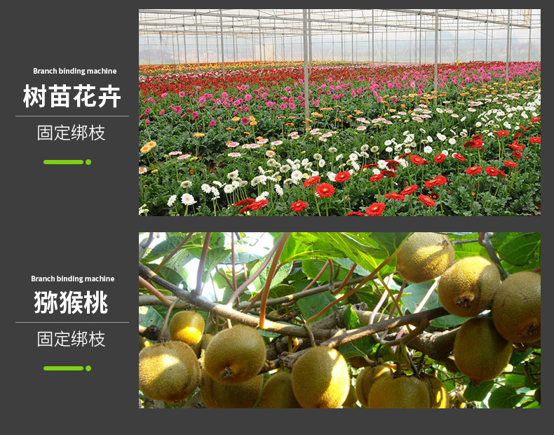 O1CN016D1EED1bIU67icZze_!!9402