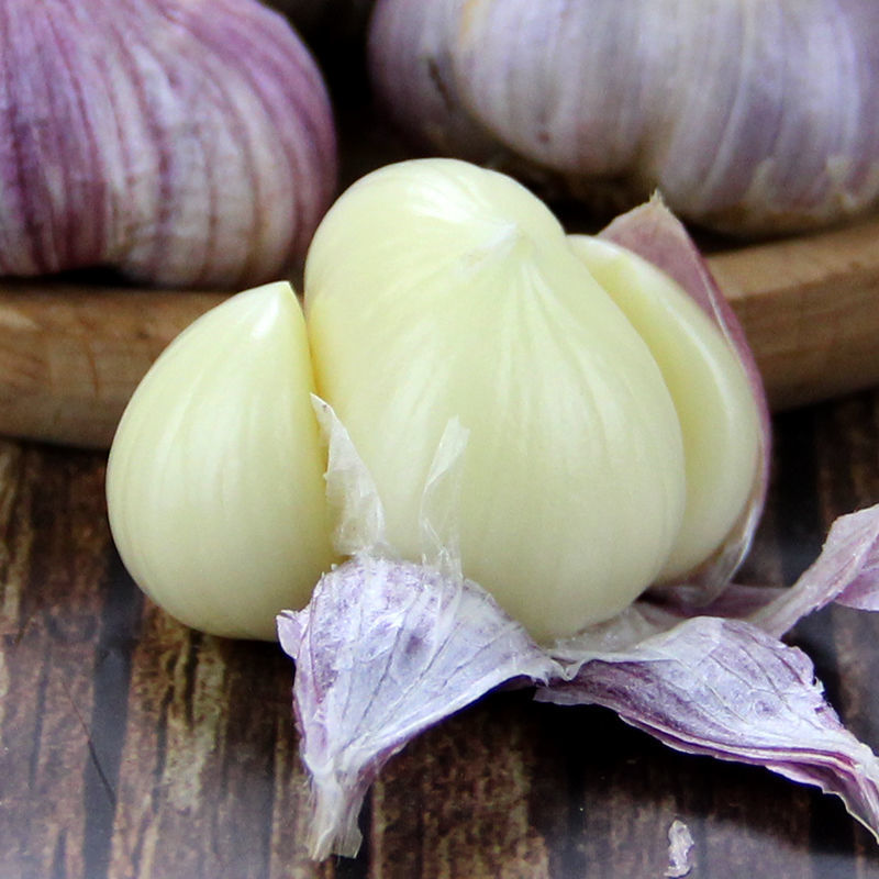 Garlic wholesale 2022 Yunnan Purple Redskins fresh Garlic seed Manufactor Direct selling