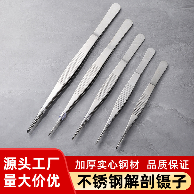 批发不锈钢解剖镊子直细尖头带齿防滑镊子敷料辅助工具12.5-30cm