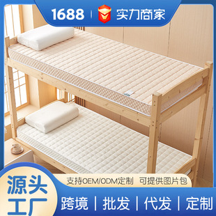 Three-Dimensional Latex Sponge Mattress Home Bedroom Soft Cushion Rental Special Tatami Mat Dormitory Student Sponge Mat
