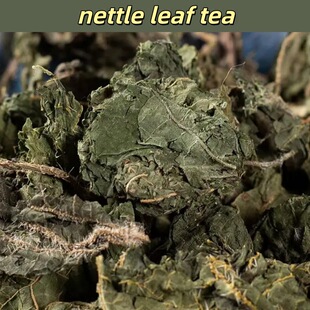 nettle leaf tea �n���~�n���~���n���~��ș�� �n����