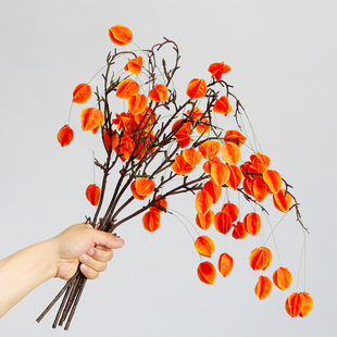 ���滨�ٻ��m����֦�������\����{����֦�쾰�OӋ�����bɻ�