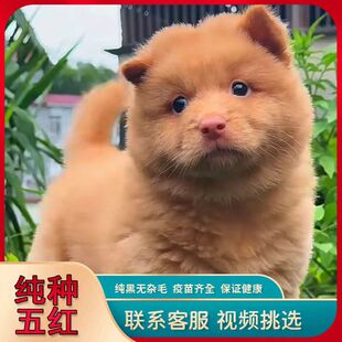 ���N��tȮ���w��Ȯ������������Ȯ��t����Ȯ���CȮ����С������