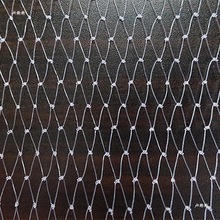 �νz͸����~���WƬ�~�W�~�����@���B�õľW���o�W���W�����O�W