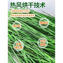 ӲĦɲݕɺ~iüZһlֱN