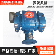 厂家现货罗茨风机防爆水产养殖育苗孵化大风量高压超静音节能全套