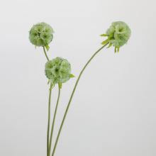 滨l{軨N L܇Ҿb廨ѹӢɻ[