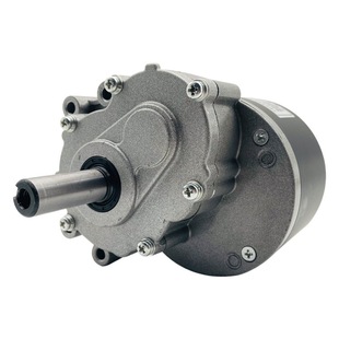 Impingle MY1016Z permanent magnet DC brushed low speed two-stage reduction electric vehicle motor 24V250W wheelchair motor