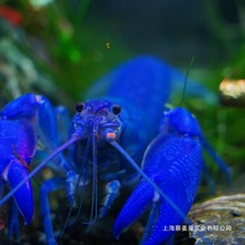 ����^�p�r���w�{ħ���]�rˮ����MС���r���t�״��͵�ˮ�����r