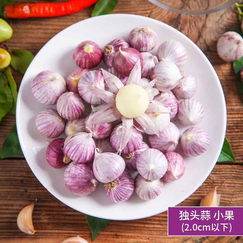 500g - 진주 단일마늘(2cm 미만)은 매우 작습니다.