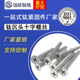 钛合金TA2钛平头螺丝十字沉头螺钉螺母大全小螺丝钉M2M3M4M5M6M8