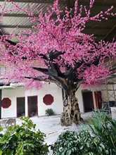 ��ʯ��ɽ�٘��쾰������Ó������ͤͥԺ���^ˮ��ɽ��