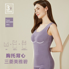 Women's Autumn/Winter New Model with Bra Pad Warmback Vest, Beautybil Heating Bra Pad Back Vest, Fuzzy Lining Underwear Tank Top Bra