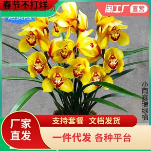 �m�����ļ��_�������ͻ��ܾGֲī�m�����m�����m���Ժ��B�̨�͏d