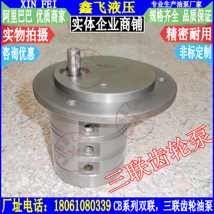 CB-B3TF三联齿轮油泵 CB-B2TF 三联泵 油泵 润滑泵 液压泵