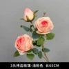 3 overlay roses