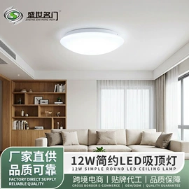 锂电池;其他电源;吸顶灯