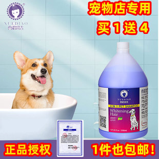 [Buy One, Get Four Free] Large Bucket of Ferret Shower Gel, Pet Cat Cleaner, Dog Shampoo and Bath Liquid, Exclusively for Pet Stores
