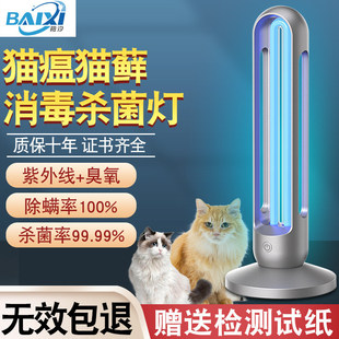 �������⾀������؈����СȮ��؈�\�����������\�t�����⾀������