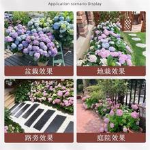 ������ֲ��o�M�����Ի���ֲ���҃����B���_�����B�Ļ��ļ�����