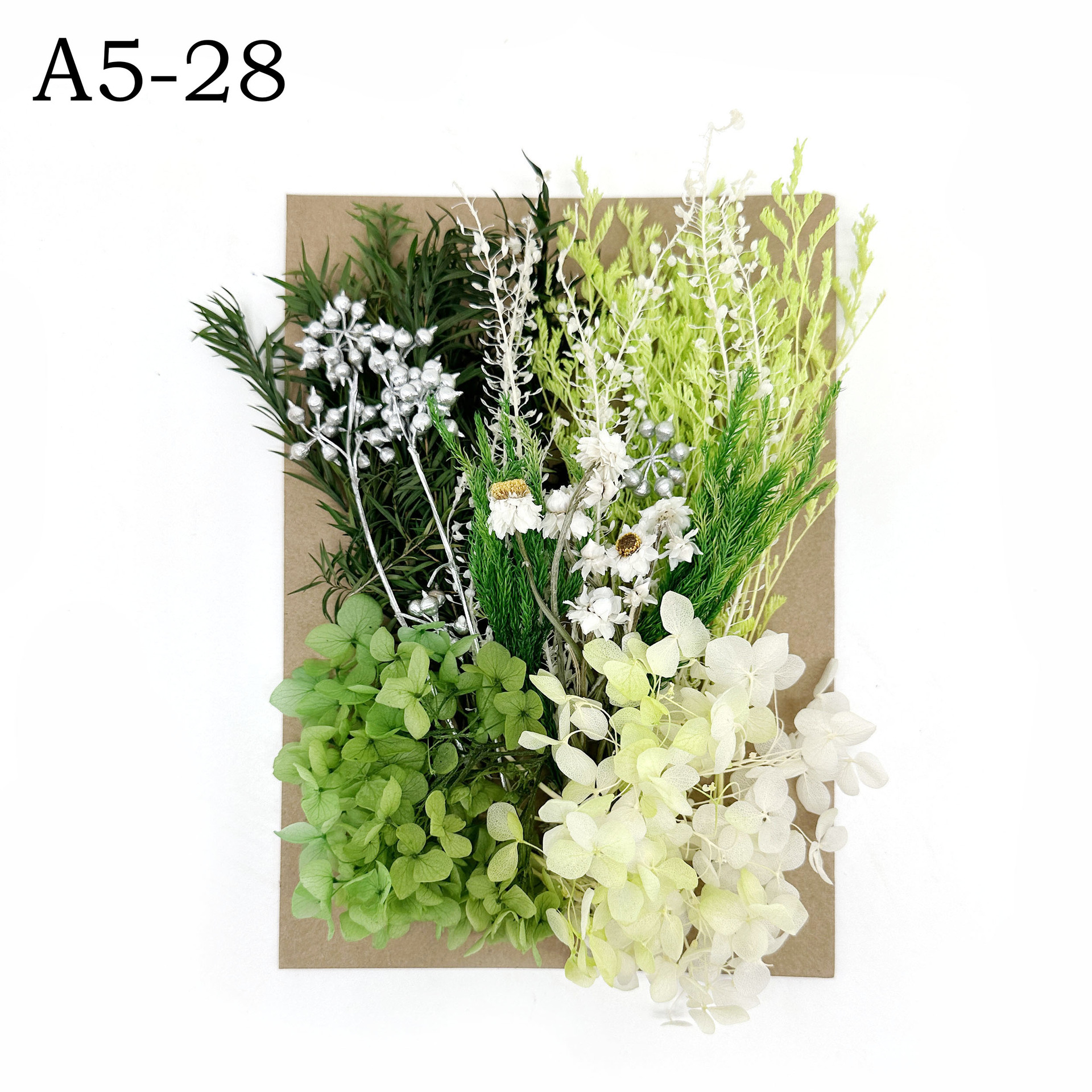 [Paquete de material de estampado A5] Flor seca flor eterna marco de fotos paquete de material de estampado DIY flor aromaterapia vela flor seca