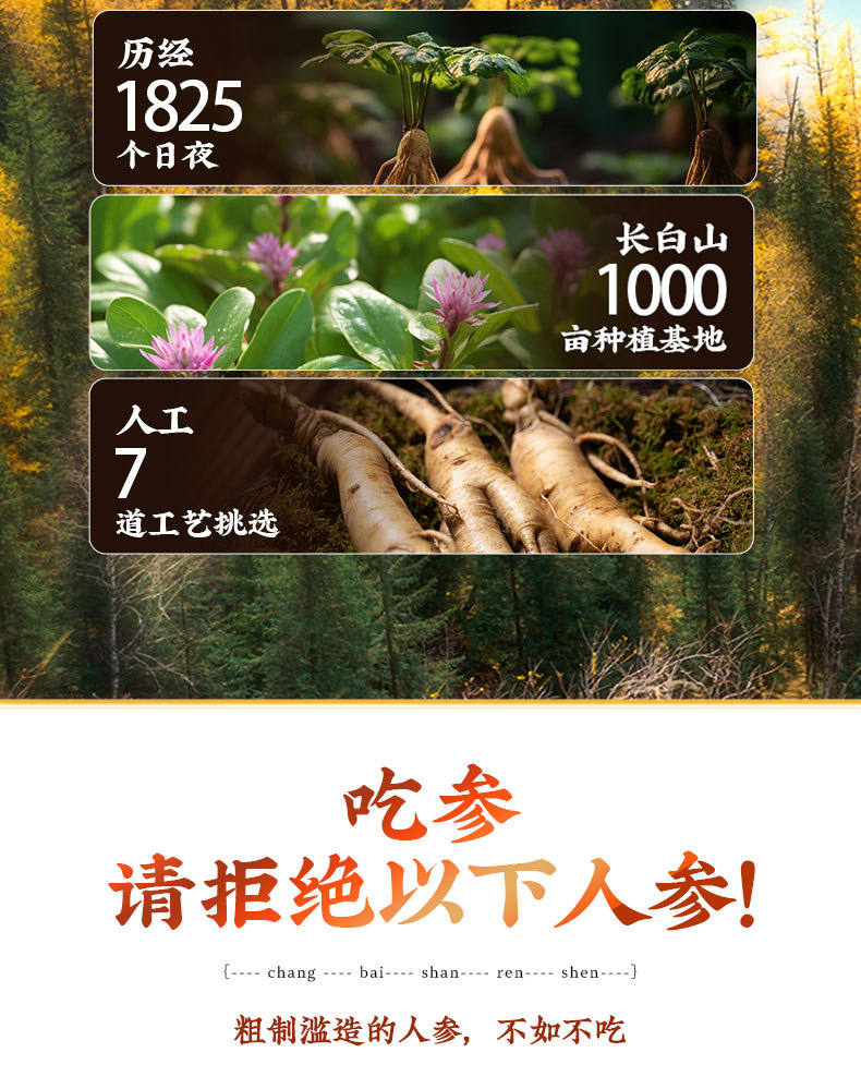 Changbai Mountain Sun-Dried Ginseng Ren Shen Whole Root Gift Box 75g 5 Roots overview