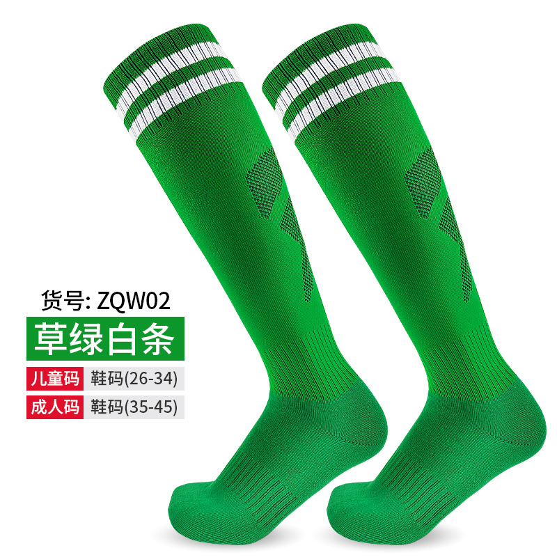 두꺼운 잔디 녹색