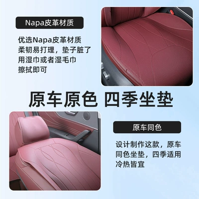 all seasons, complete collection of – Seat cushion, seat cover