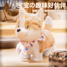 AI���ܑ�������ë�q��߳��������趶�ӕ��fԒ�����x��������ż