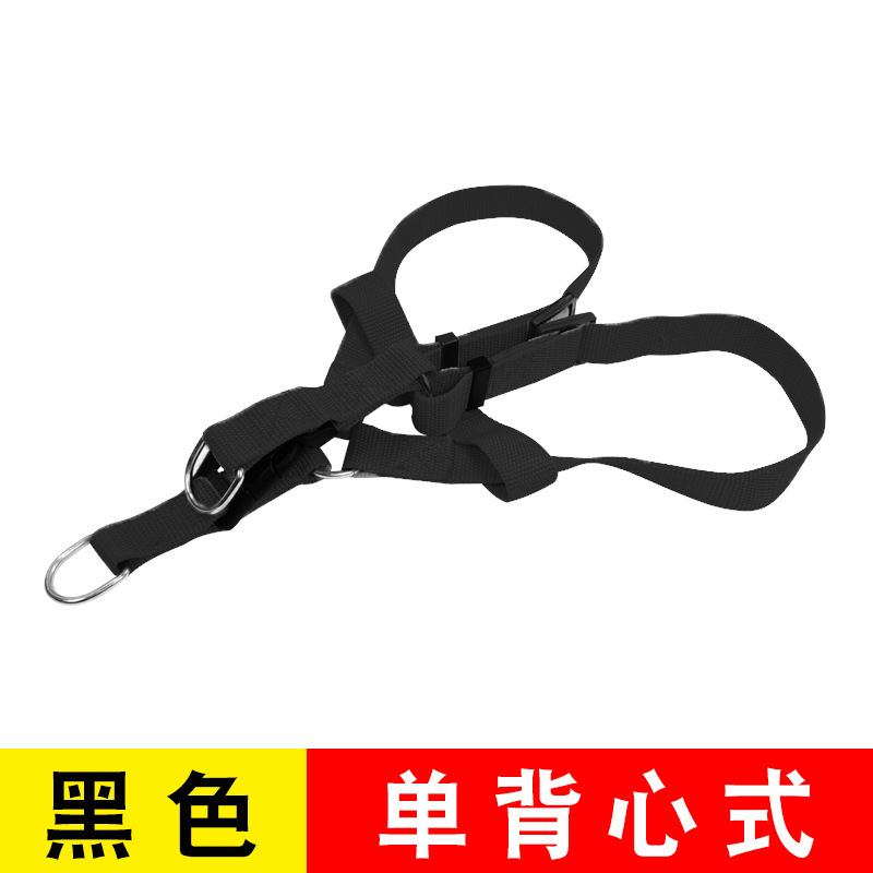 Correa para mascotas en stock, venta al por mayor, correa reflectante de EVA para perros de 1.5m, correa duradera para perros de peluche, Corgi y otras razas.