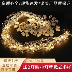 led铜线灯氛围灯灯串led灯线串灯圣诞节日花束蛋糕装饰灯源头灯串