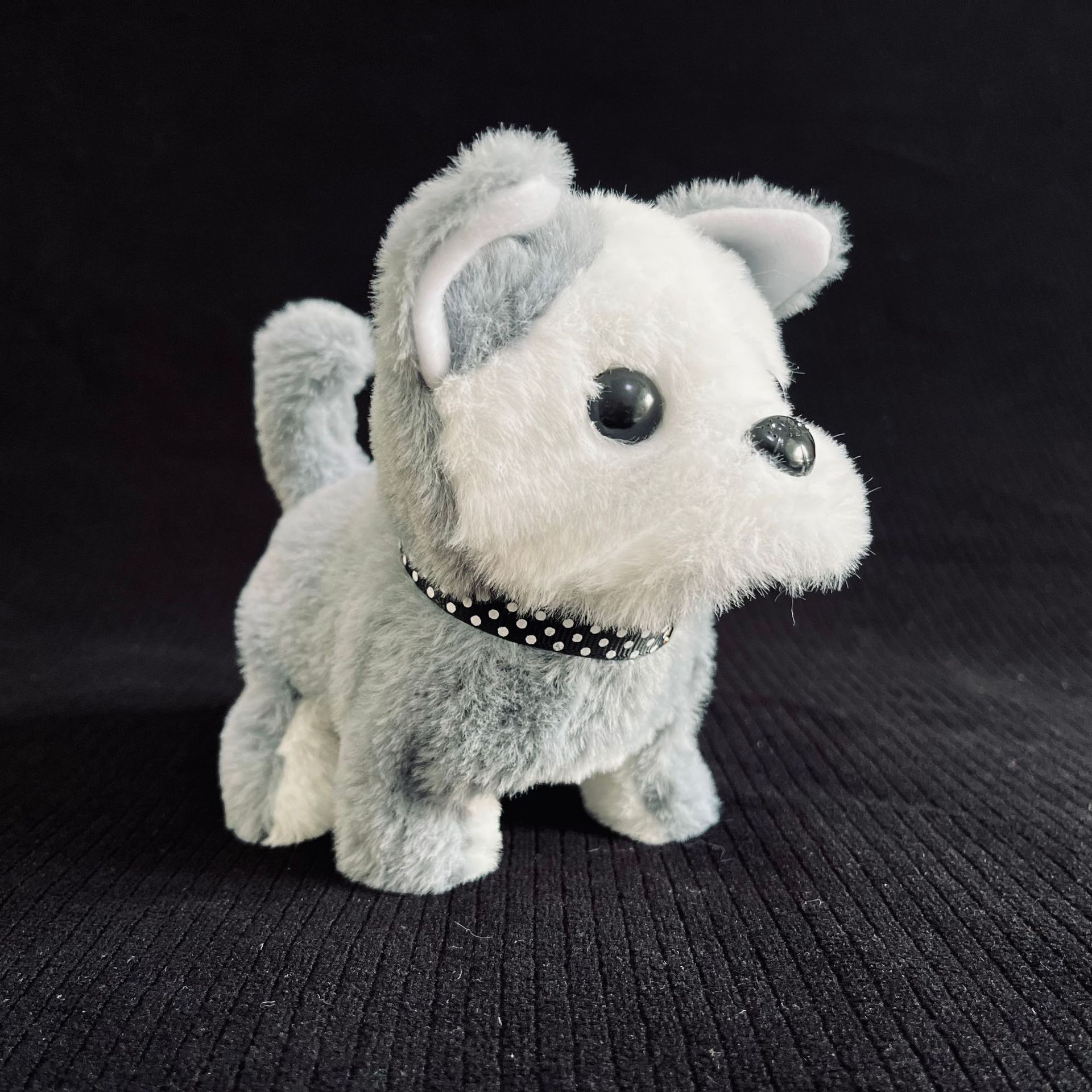 Husky gray